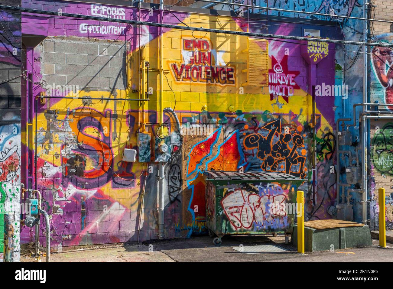 Art Alley, Rapid City, Dakota du Sud, États-Unis, 2022: Le graffiti public est autorisé sur les murs d'une allée dans une zone urbaine. Banque D'Images