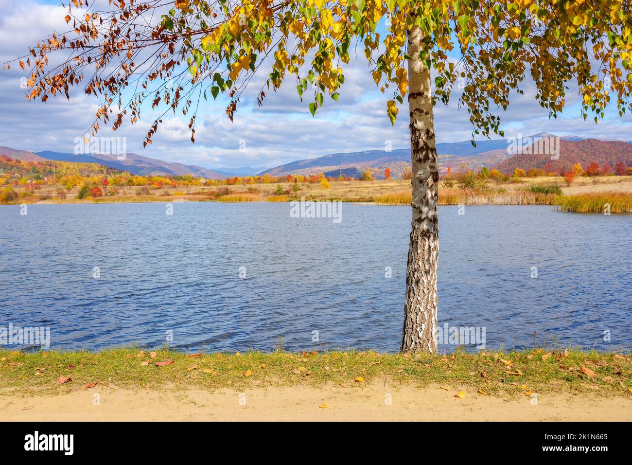 arbres dans le feuillage coloré sur la rive. paysage de campagne sur le lac en automne. temps ensoleillé en automne Banque D'Images