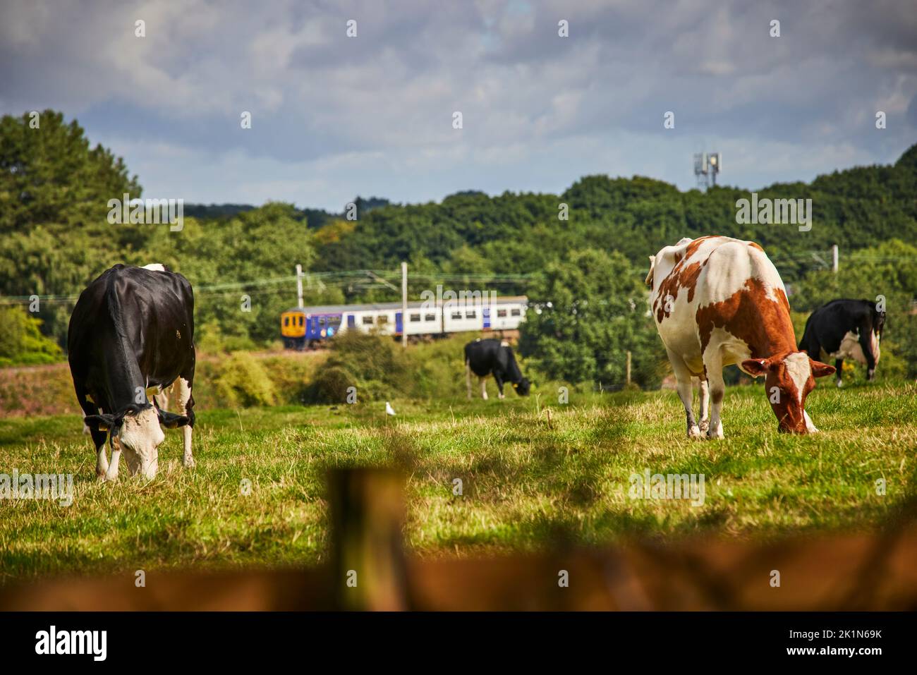 Village de Chelford et paroisse civile à Cheshire, Angleterre, campagne autour du village Banque D'Images