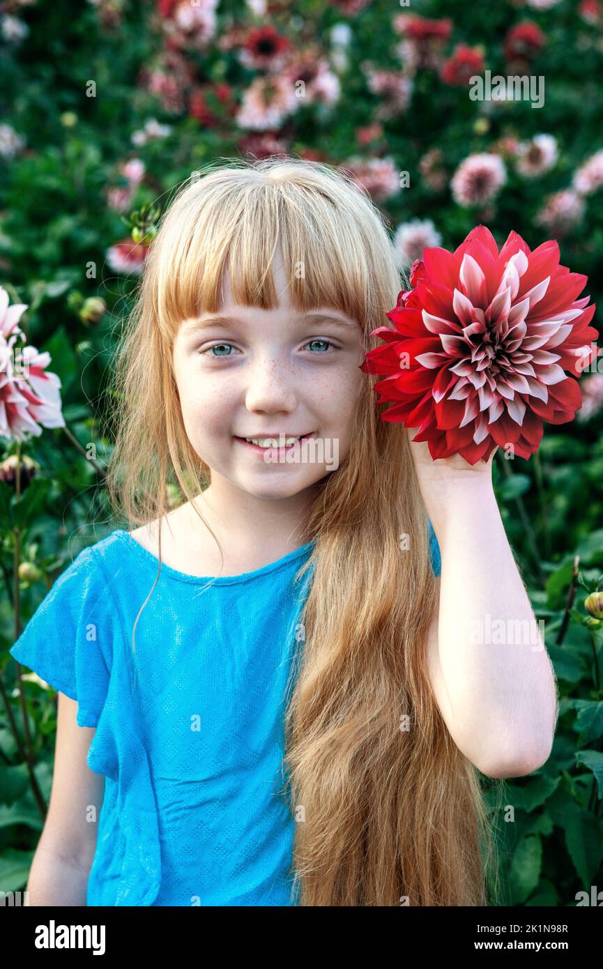 fille de 11 ans avec de longs cheveux blancs et une fleur de dahlia. Portrait de petite fille admirant le bouquet d'énormes fleurs rouge et rose dahlia flux Banque D'Images