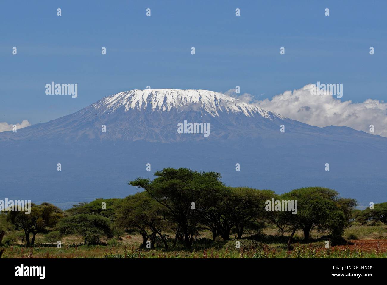 Snowcap de mt Kilimandjaro Banque D'Images