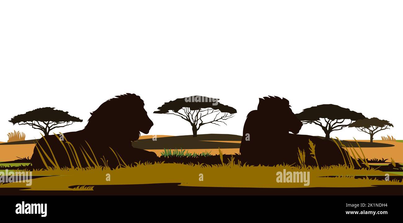 Lion et lionne. Savane prédateur africaine. Silhouette. Animal dangereux dans des conditions naturelles. Isolé sur fond blanc. Vecteur Illustration de Vecteur