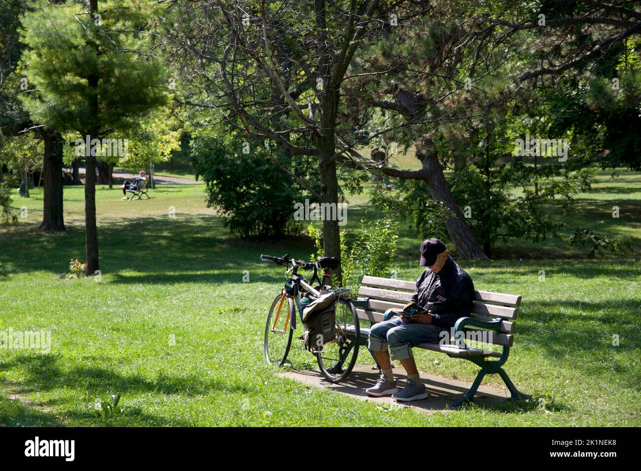 Un seul homme senior assis sur le banc du parc livre de lecture Banque D'Images