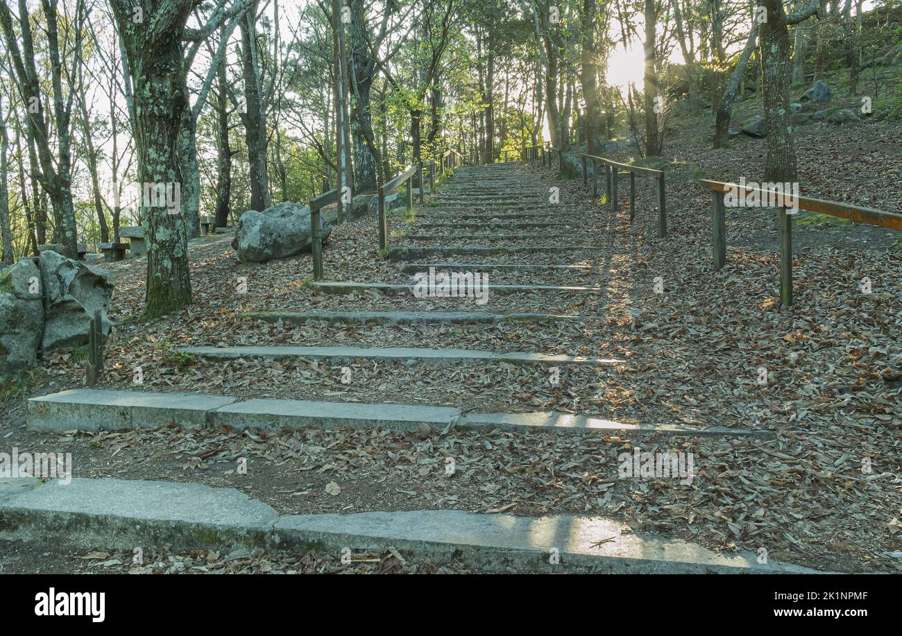 sentier de randonnée avec escaliers en pierre et feuilles en automne Banque D'Images