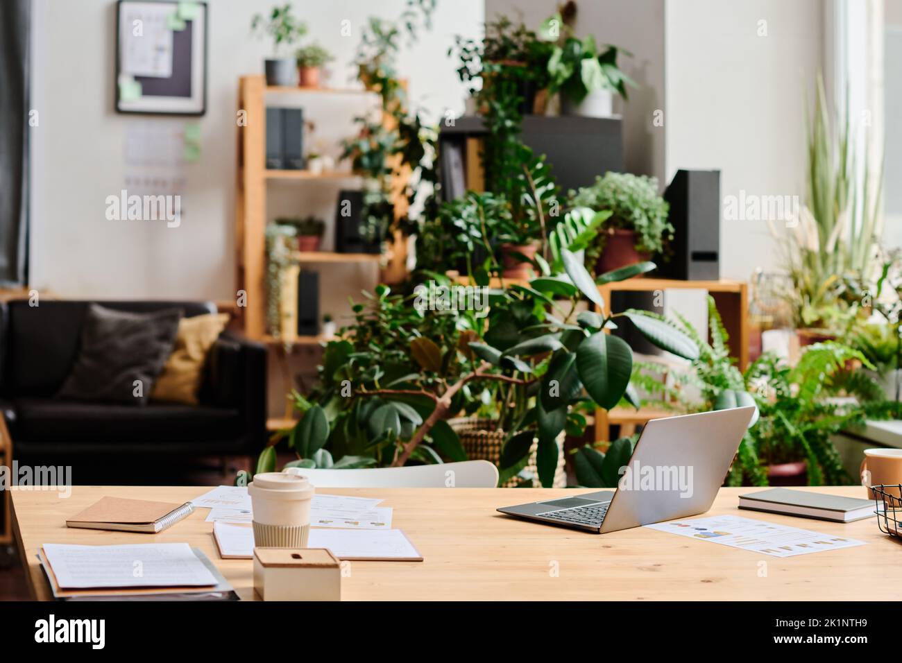 Lieu de travail du travailleur de collier blanc dans le bureau décoré avec des plantes vertes domestiques poussant dans des pots de fleurs contre le canapé et les étagères Banque D'Images