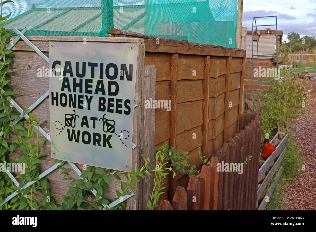 Apiculture, GAFA, Glossopdale action pour les allotements, Gamesley Estate, Melandra Castle Road, Gamesley, High Peak, Angleterre, ROYAUME-UNI, SK13 0BN Banque D'Images