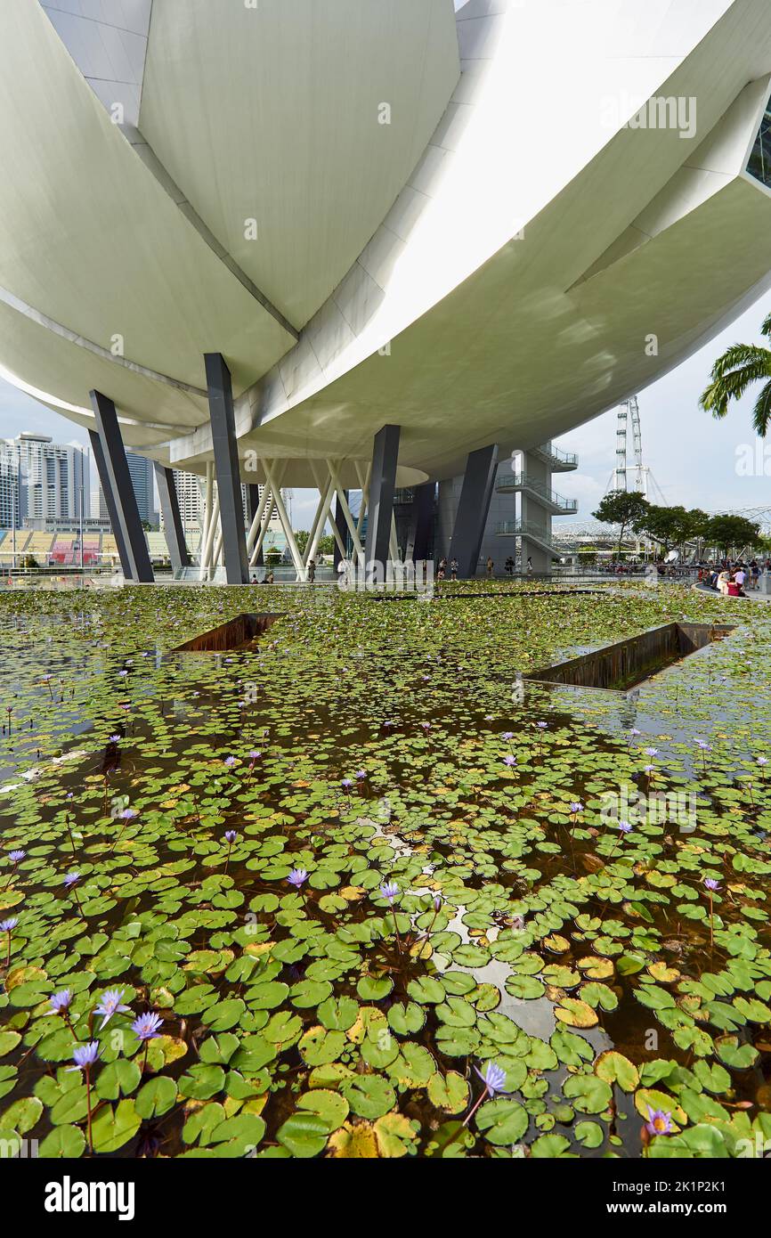 Gros plan sur le Musée des sciences de l'art de Singapour en contraste avec l'étang à fleurs de lotus Banque D'Images