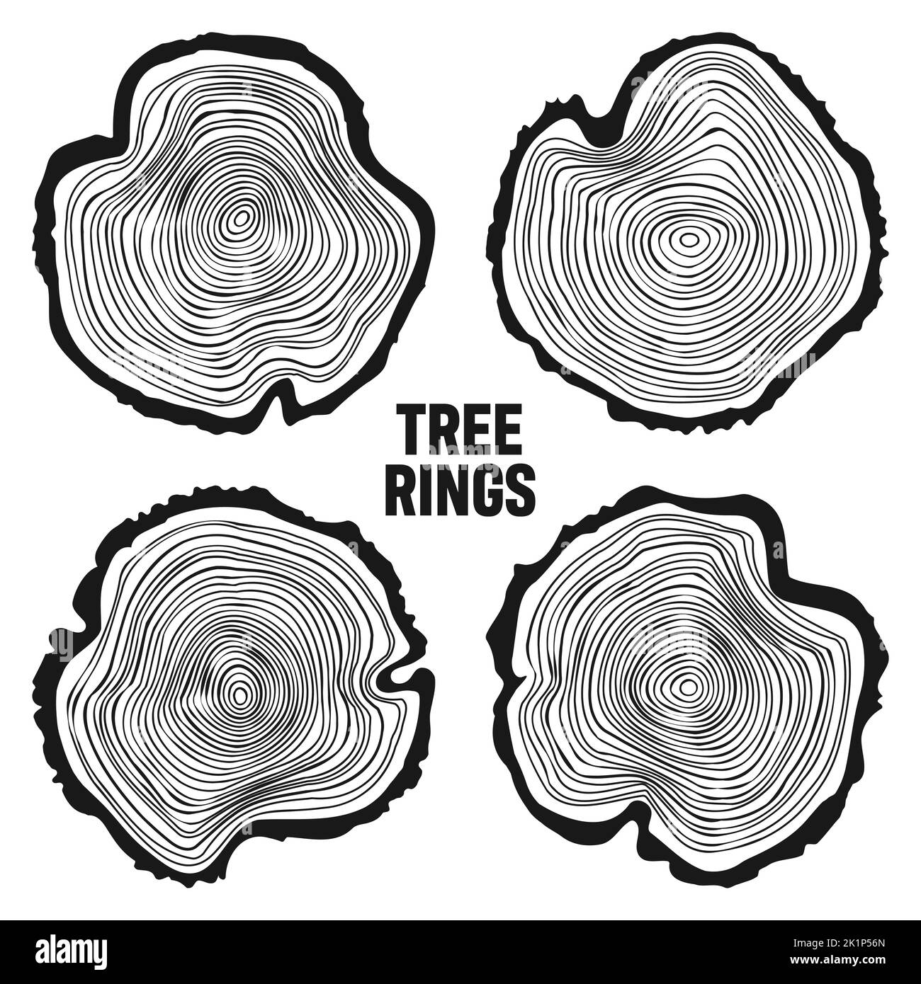 Troncs d'arbre ronds, tranches de pin ou de chêne sciées, bois d'œuvre.Bois scié, bois.Texture en bois avec anneaux.Esquisse dessinée à la main.Illustration vectorielle Illustration de Vecteur
