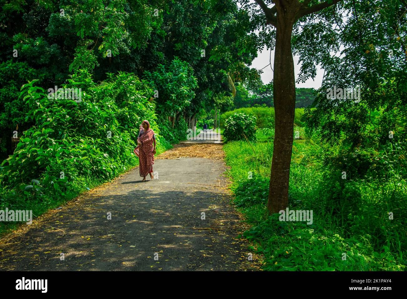 Magnifique village vert le long de champs verts, de forêts et d'une rivière. C'est un petit village appelé Rohitpur. J'ai pris cette photo sur 5 septembre 2022, fr Banque D'Images