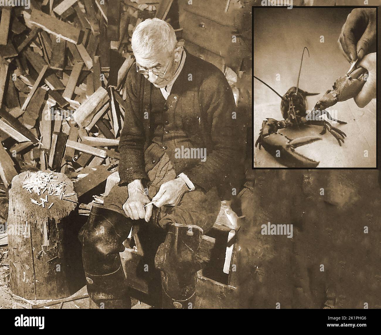 Un ancien pêcheur américain des années 1940 sculptant des langoustines à la main. Les chevilles traditionnelles sont destinées à empêcher les homards d'écraser les doigts de ceux qui les manipulent en empêchant le grand joint de griffe de se fermer, comme illustré dans l'image en incrustation. Banque D'Images