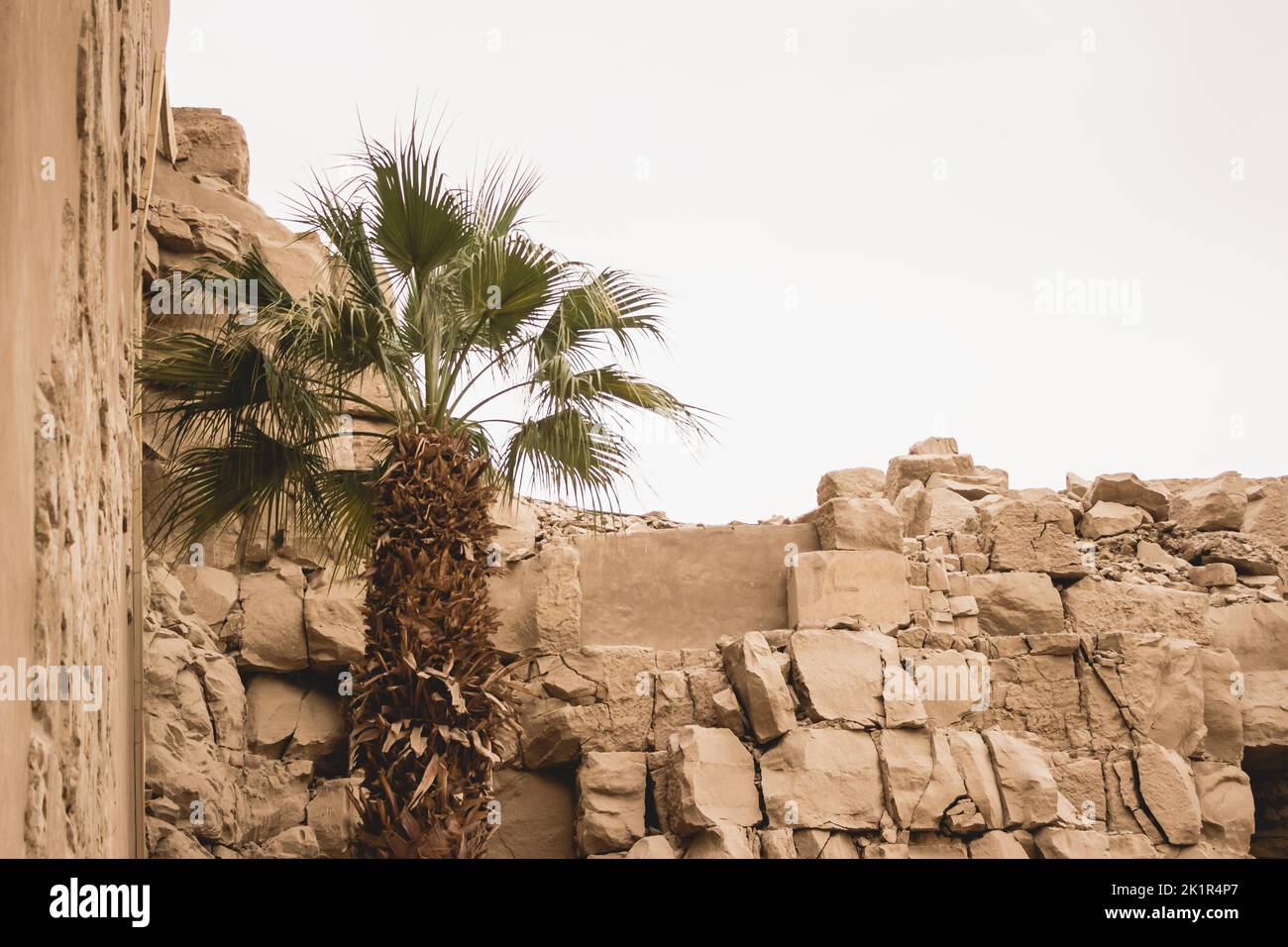 Ancien mur en pierre du temple Luxut avec palmiers sous un ciel clair Banque D'Images
