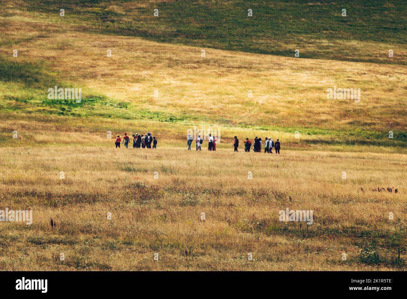 Groupe de personnes randonnée à travers les collines de Zlatibor paysage le jour d'été couvert. La marche dans la nature est une activité de plein air populaire dans ce touriste serbe Banque D'Images