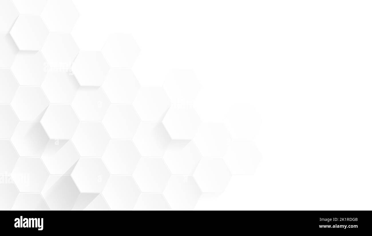 Minimaliste et moderne future Hexagon Résumé géométrique blanc et gris couleur Polygone dessin d'arrière-plan Illustration Illustration de Vecteur