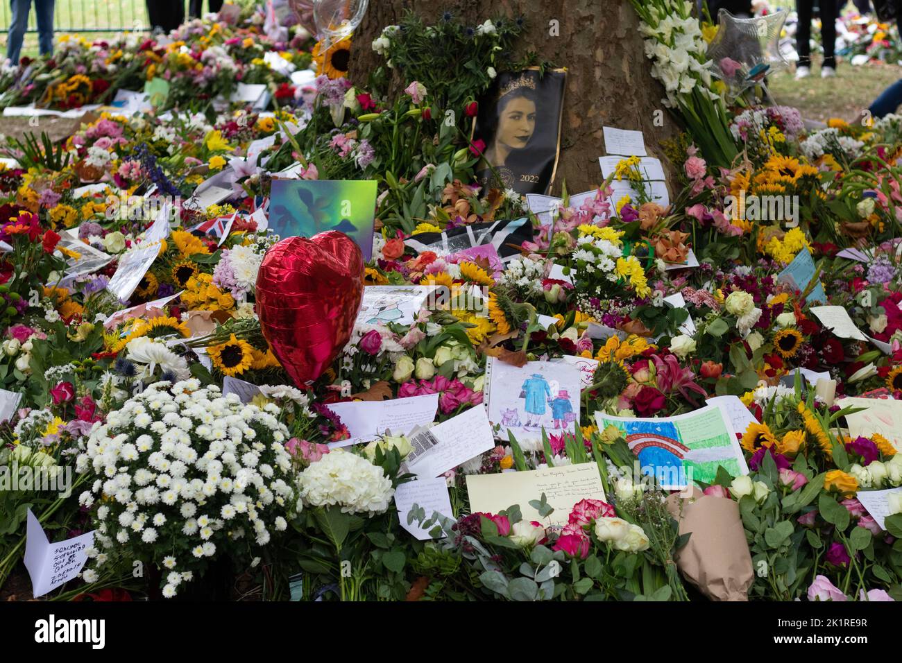 Fleurs colorées pour les préparatifs funéraires de la reine Elizabeth II au palais de Buckingham Banque D'Images
