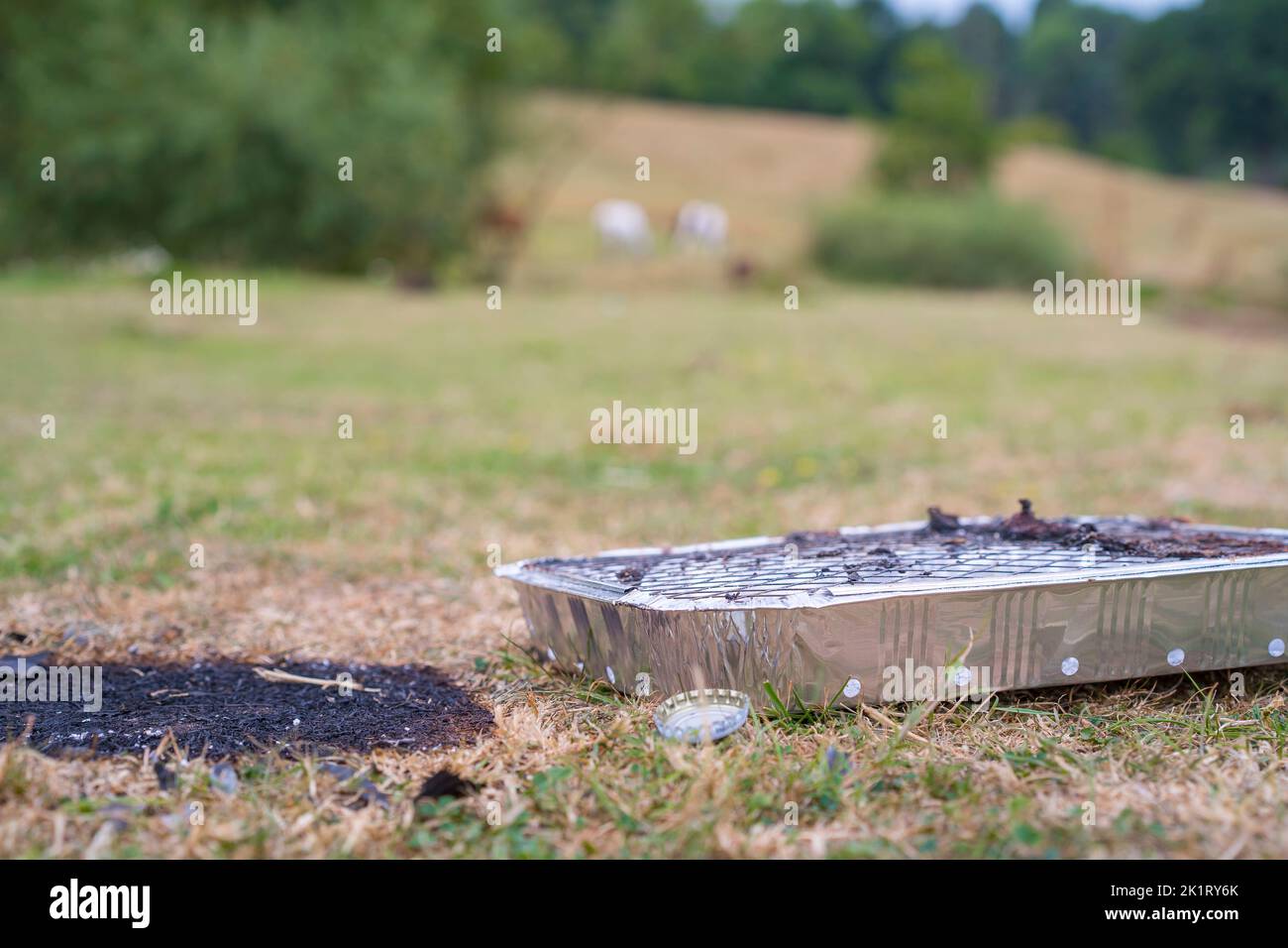 Gros plan d'un barbecue instantané jetable usagé (BBQ) laissé à l'abandon par des cueilleurs négligents dans la campagne britannique ; herbe brûlée et brûlée - mauvais risque d'incendie. Banque D'Images