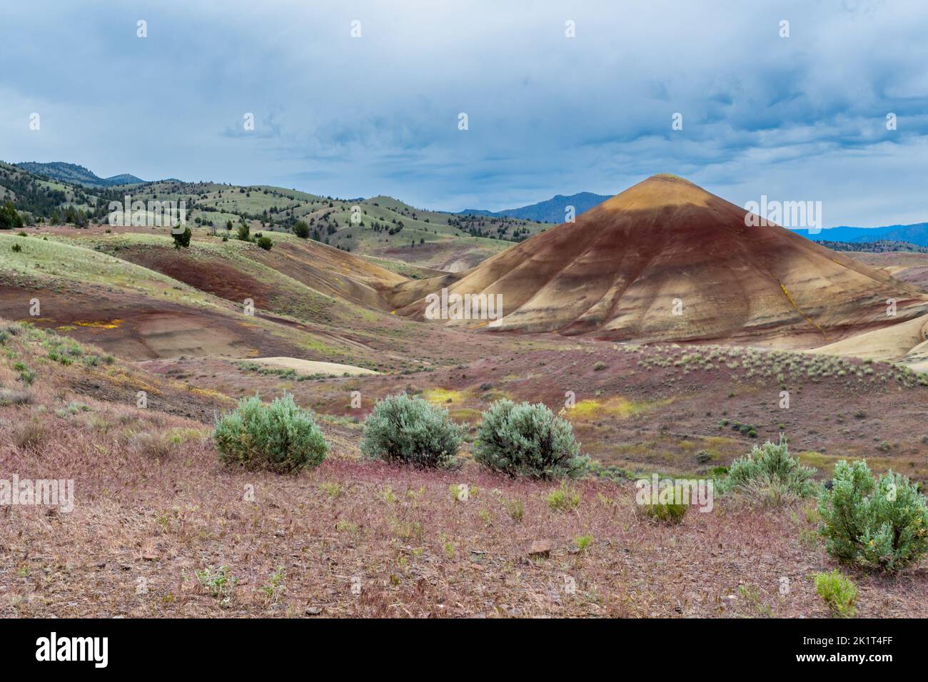 Couleurs rouges et jaunes brillantes des formations rocheuses dans les Painted Hills, Oregon, États-Unis. Banque D'Images