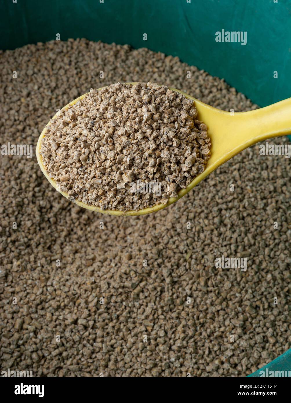 cuillère pleine de crumble de nourriture de poulet, variété semi-lâche faite de pellets fissurés en petits morceaux, fond doux-foyer Banque D'Images