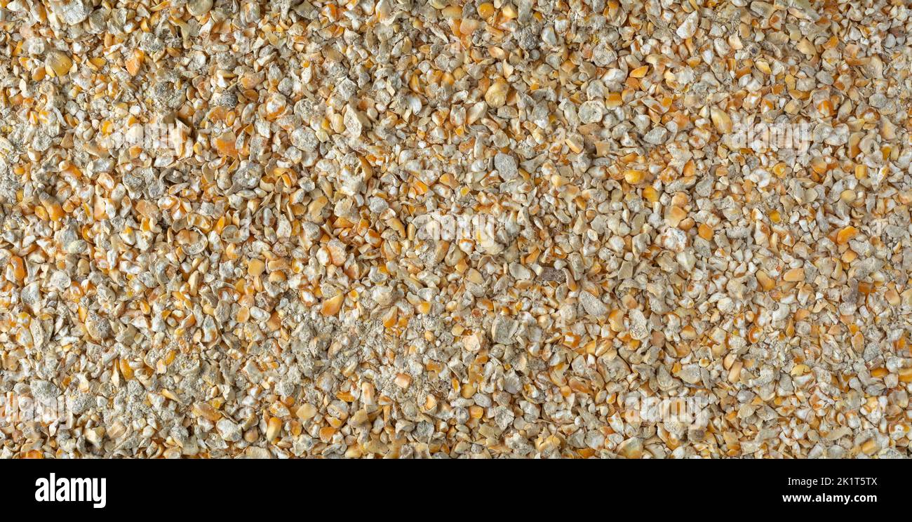griffures de poulet, l'alimentation de poulet se compose de maïs fissuré avec d'autres grains qui est une grande source d'énergie pour le troupeau, fond plein cadre Banque D'Images