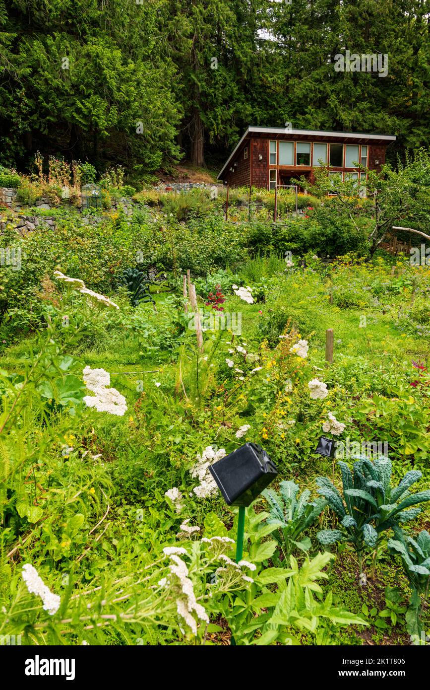 Jardins en terrasse; résidence privée au cœur de la forêt luxuriante; Fidalgo Island; Anacortes; Washington; États-Unis Banque D'Images