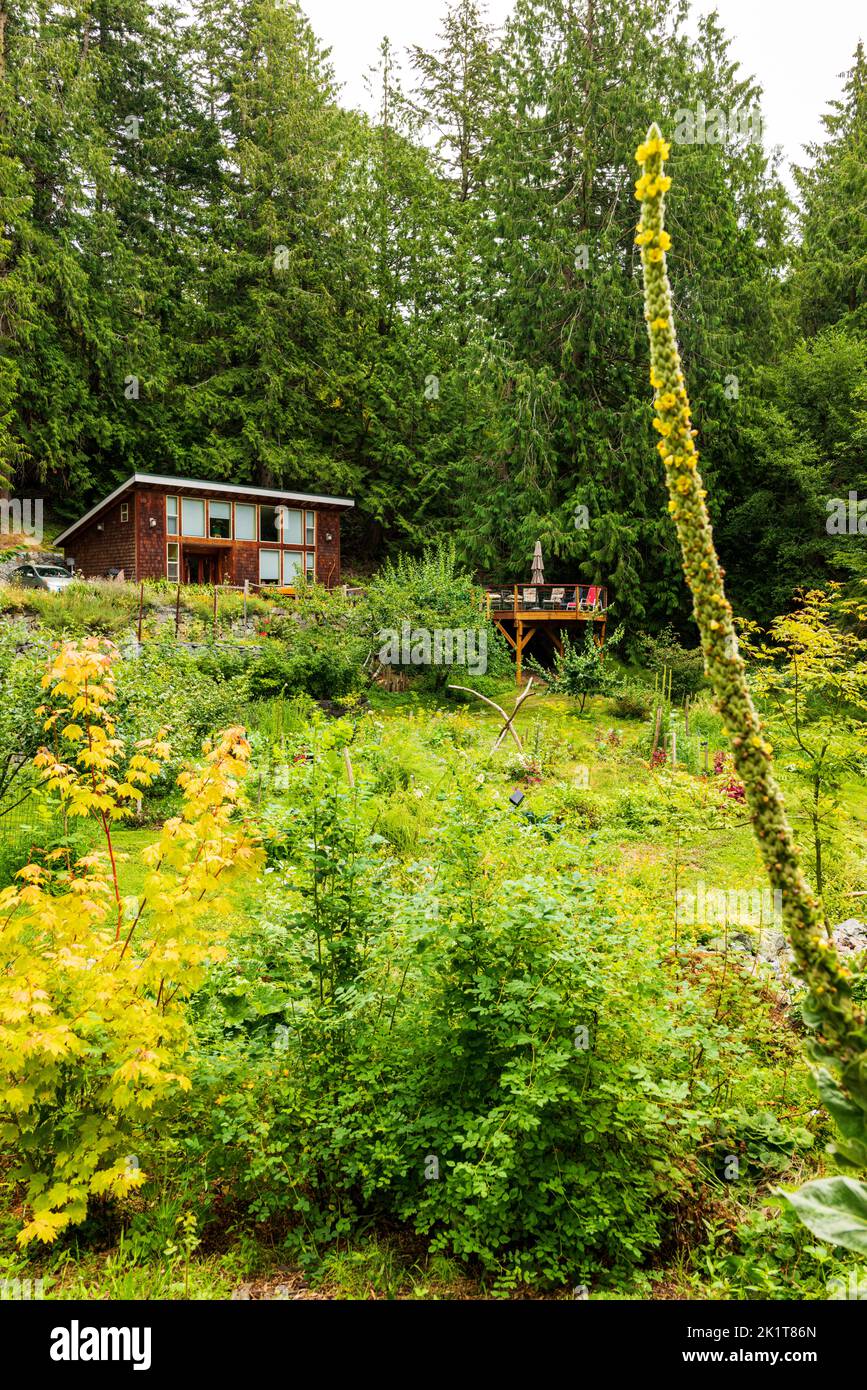 Jardins en terrasse; résidence privée au cœur de la forêt luxuriante; Fidalgo Island; Anacortes; Washington; États-Unis Banque D'Images