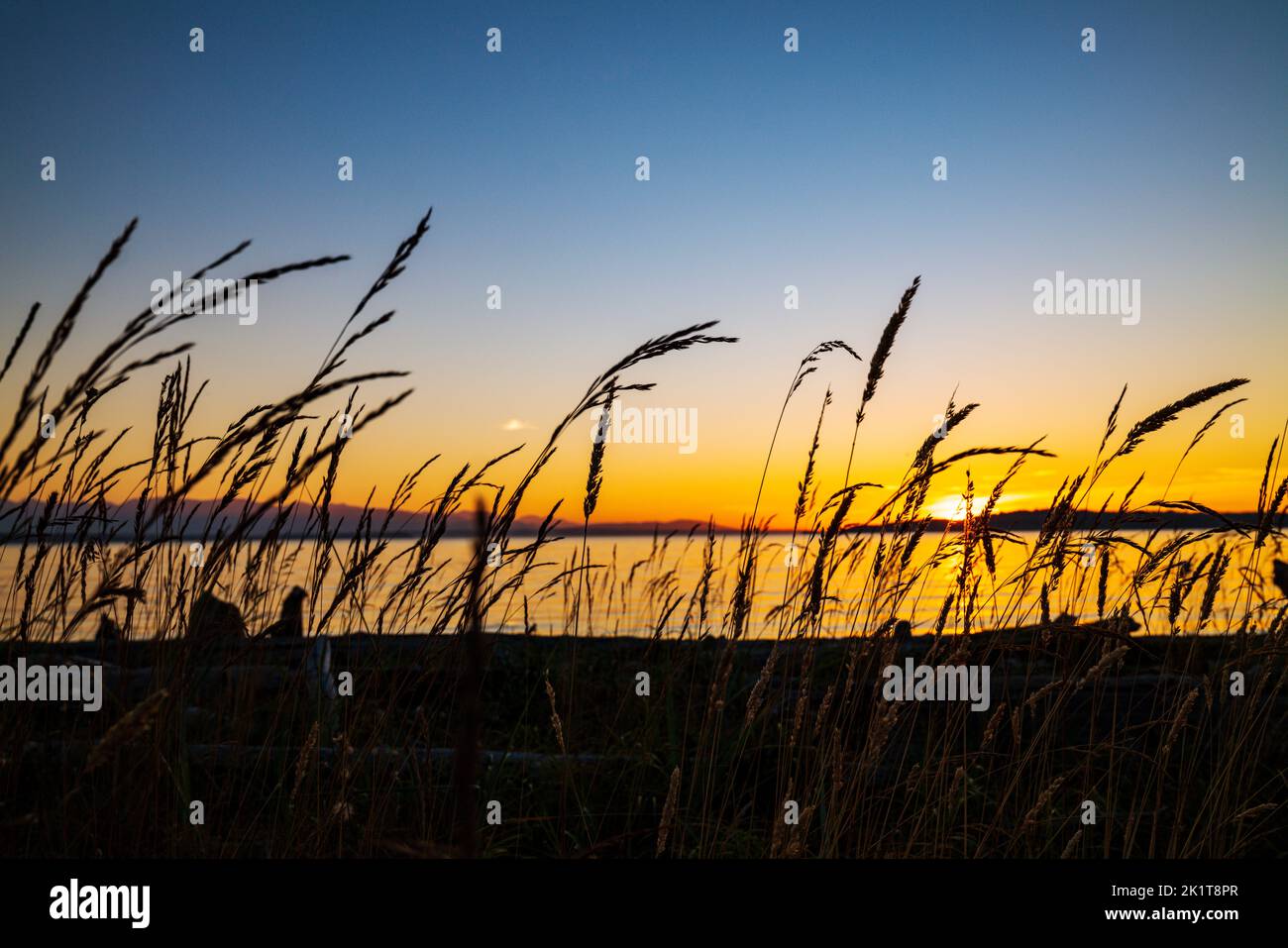 Coucher de soleil sur Puget Sound ; Whidbey Island ; Washington ; États-Unis Banque D'Images