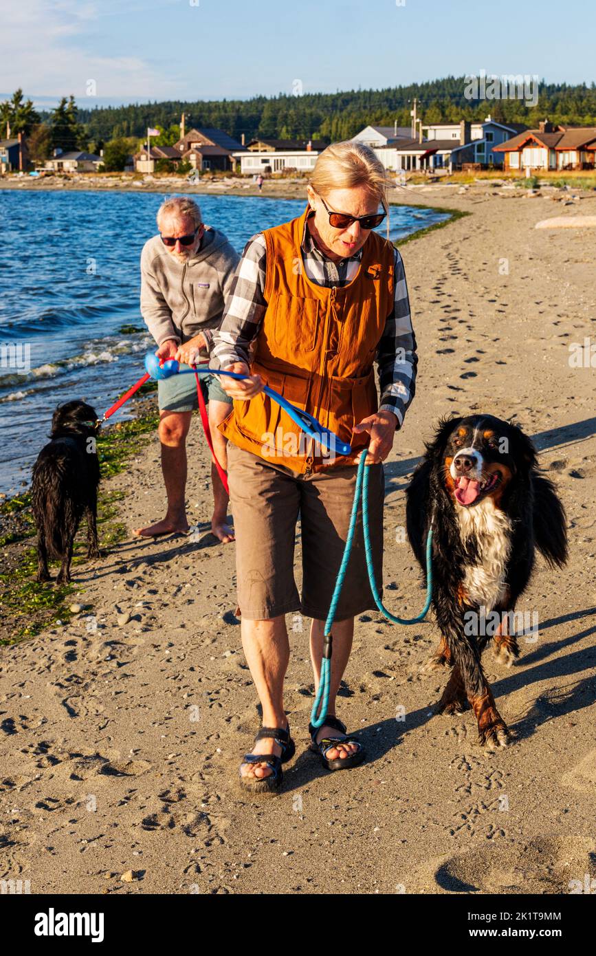 Couple senior qui marche deux chiens d'animaux sur la plage; Whidbey Island; Washington; États-Unis Banque D'Images