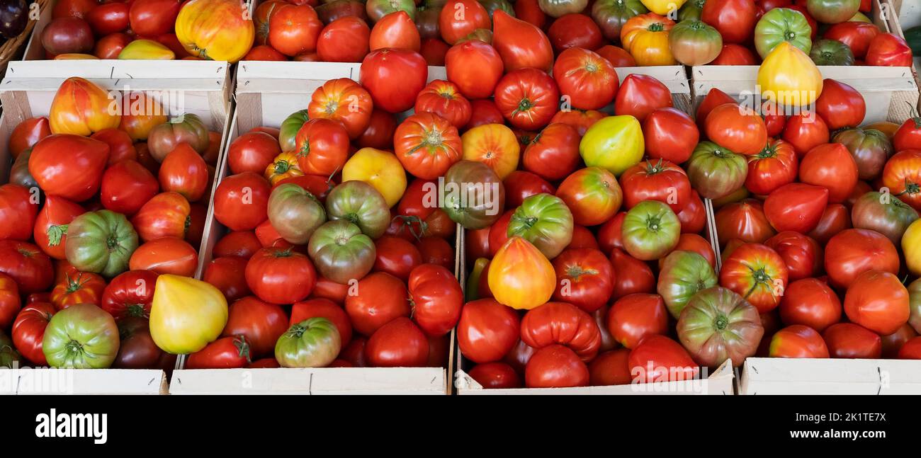 Les tomates stall dans le marché de Sanary-sur-mer, France Banque D'Images