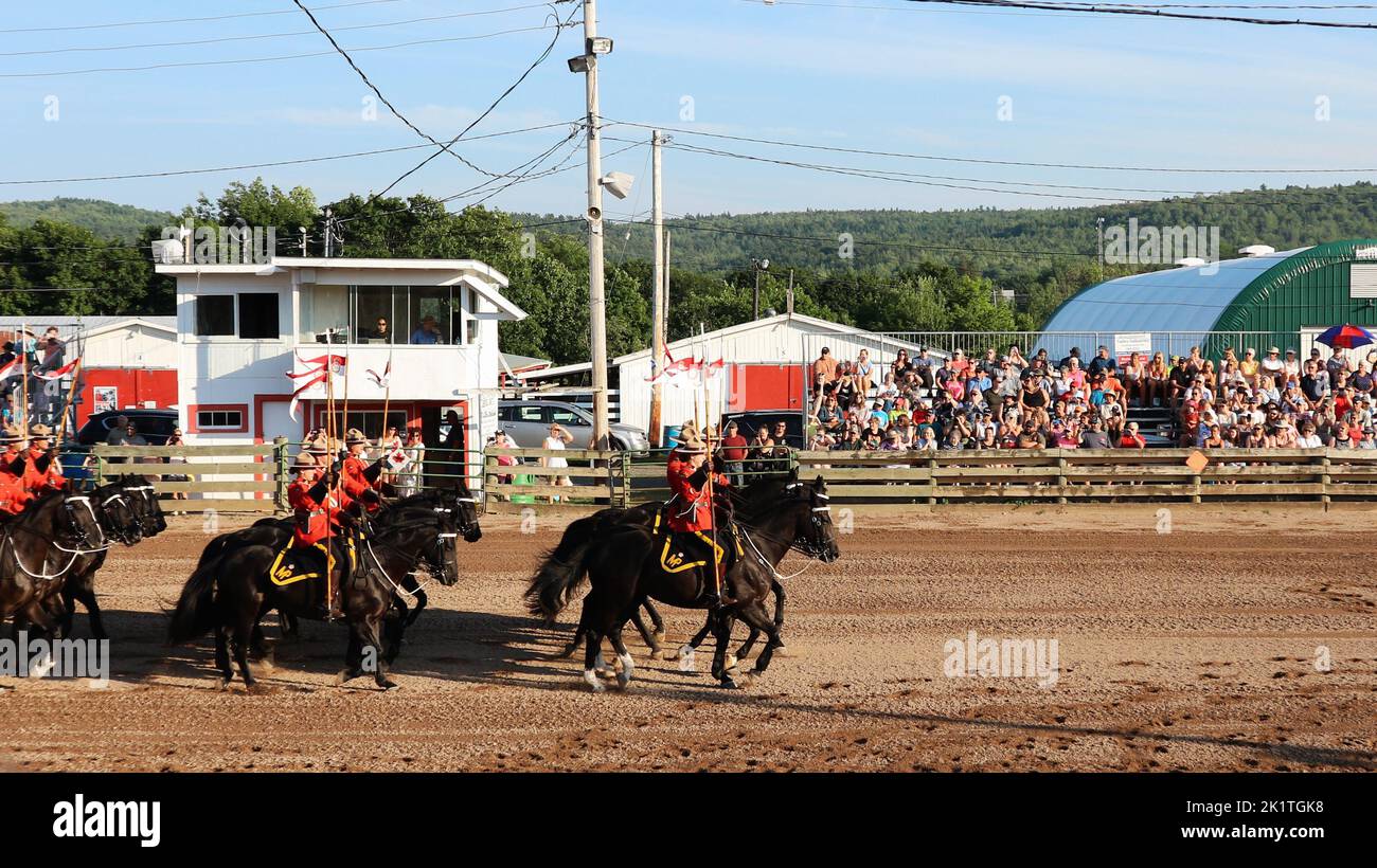 Les chevaux de la Gendarmerie royale du Canada capturés lors de l'équitation de Lawrencetown au Canada Banque D'Images