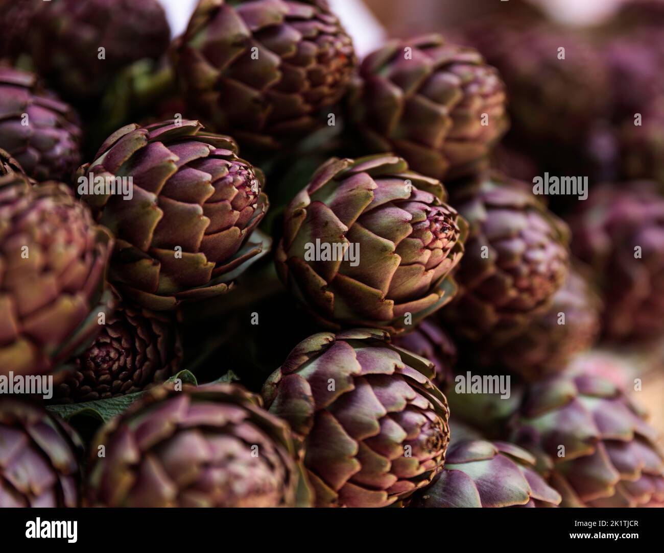 Artichauts violets vendus sur le marché de Pula, Croatie, Europe Banque D'Images