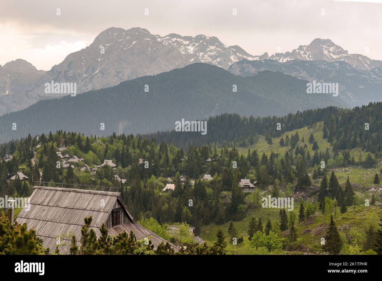 Velika planina, grand plateau de pâturage en Slovénie, Europe Banque D'Images