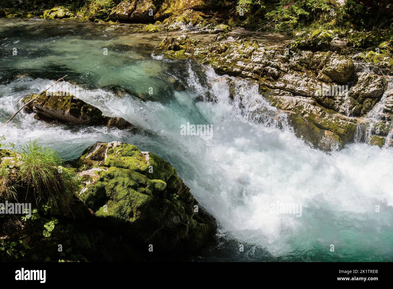 Soteska Vintgar, gorge de Vintgar près de Bled, Slovénie, Europe Banque D'Images