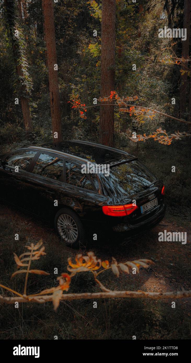 Un cliché vertical d'une Audi A4 sur un chemin étroit dans la forêt de thw Banque D'Images