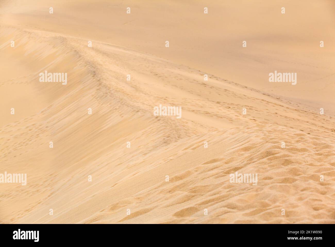 Traces d'empreinte sur le monticule de dune de sable (espace de copie) Banque D'Images