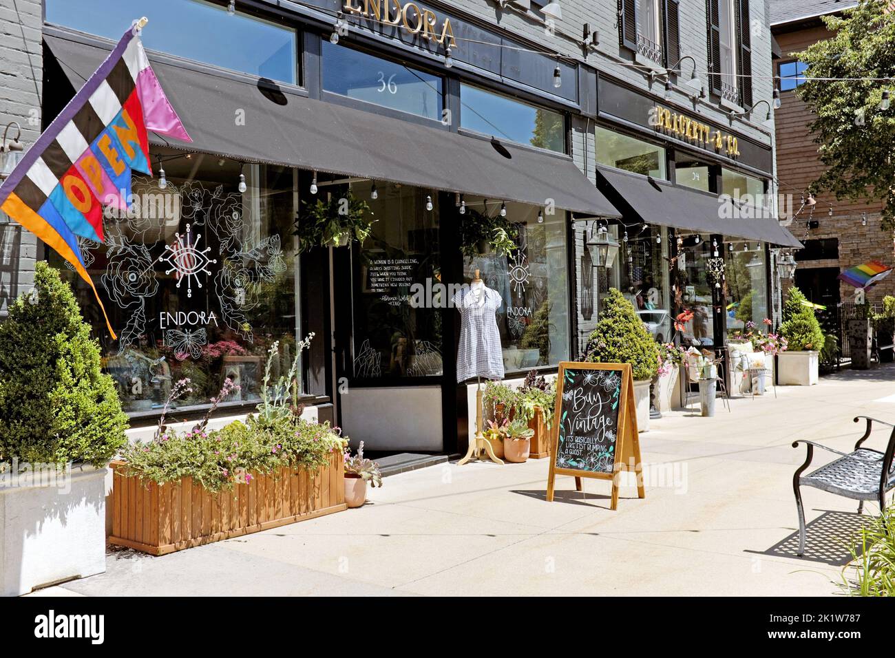 Center Street à Douglas, Michigan, États-Unis avec ses boutiques pittoresques, notamment Endora et Brackett & Co., et Douglas horloge en été. Banque D'Images