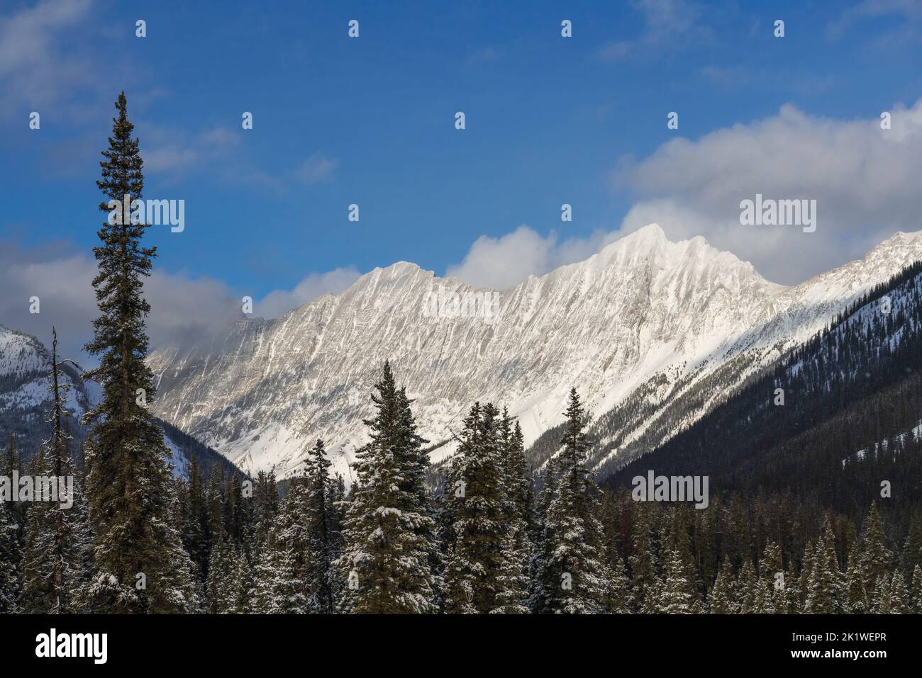 Une montagne et une forêt pittoresques le long de la route du lac Maligne en hiver, parc national Jasper, Alberta, Canada. Banque D'Images