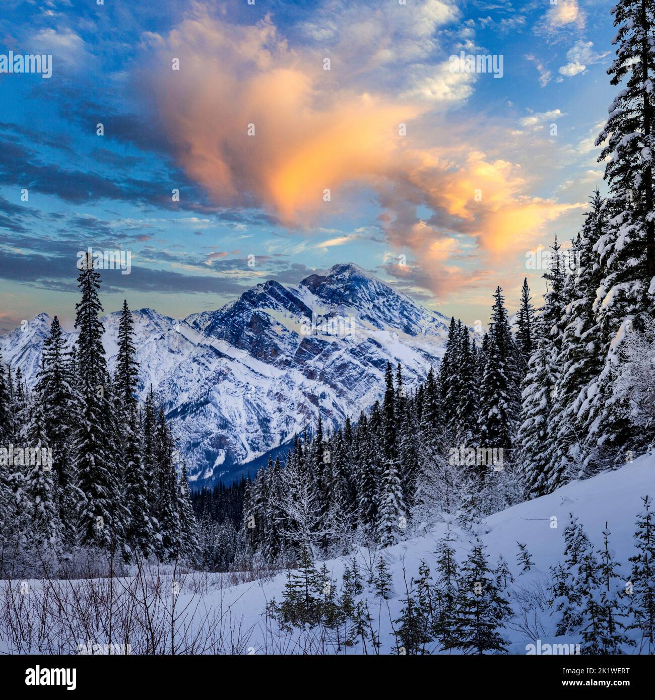 Le long de la route du lac Maligne en hiver, parc national Jasper, Alberta, Canada. Banque D'Images