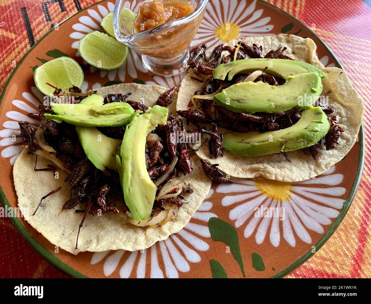 Tacos doux avec grillons et avocats, Oaxaca, Mexique Banque D'Images
