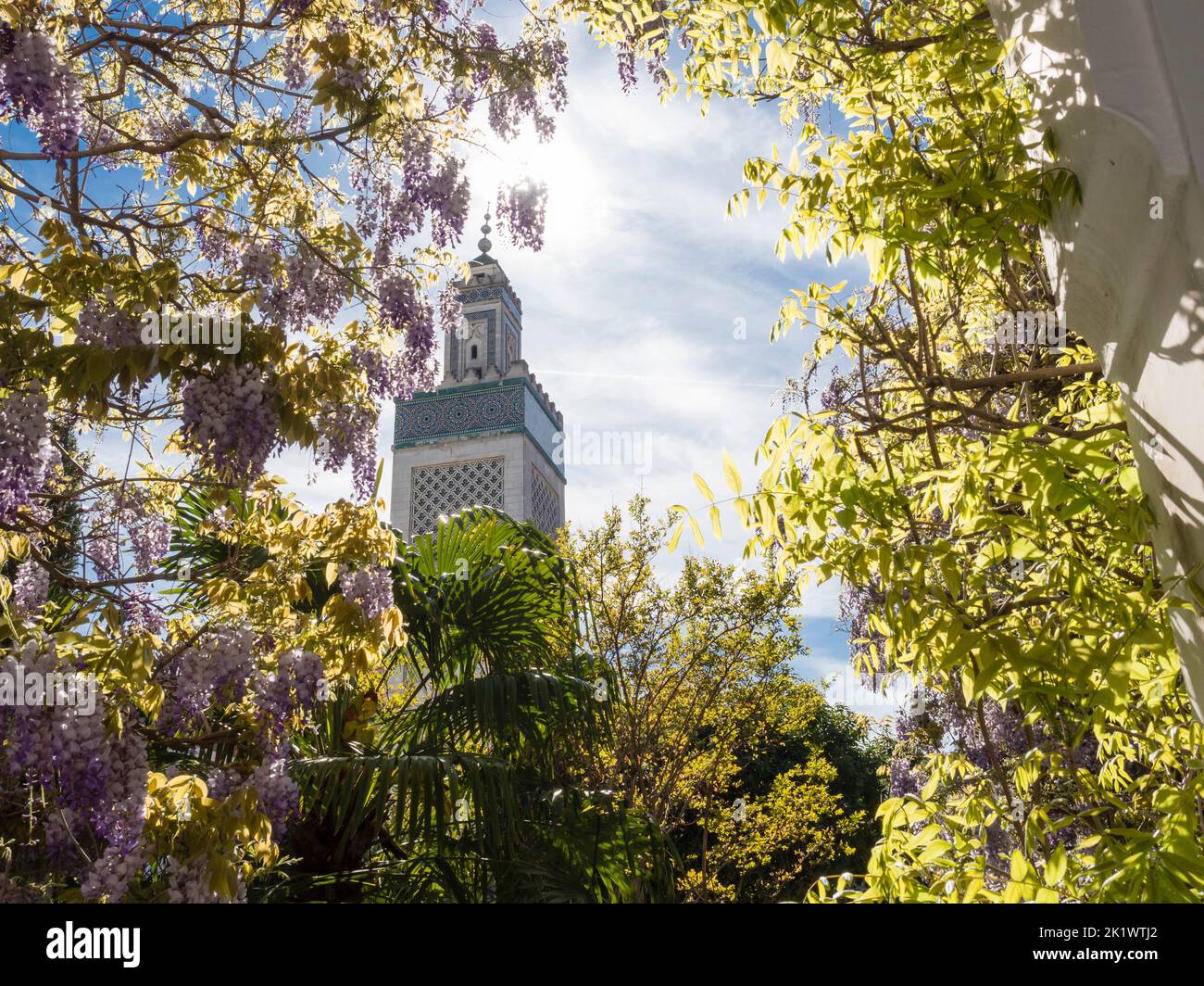 Cour de la Grande Mosquée de Paris, l'une des plus grandes mosquées de France Banque D'Images