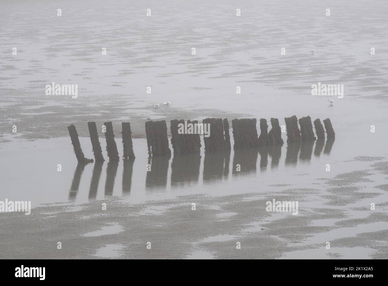 Un paysage marin brumeux avec les restes d'une gélifiant rouillée ou d'une jetée de plage. La marée est dehors révélant la rive de sable. Banque D'Images