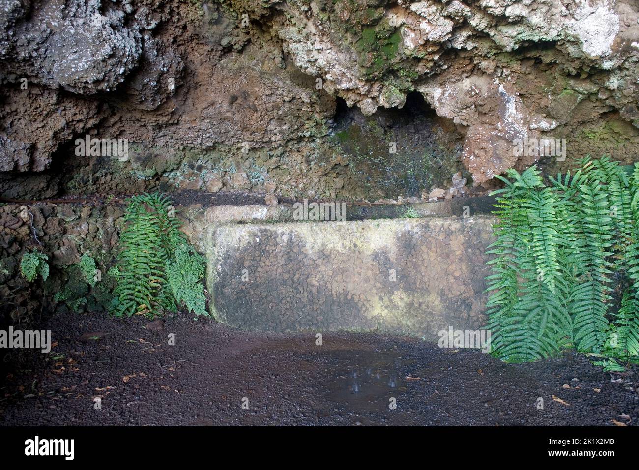 Grotte d'amant dans les jardins botaniques de Funchal Madère Banque D'Images