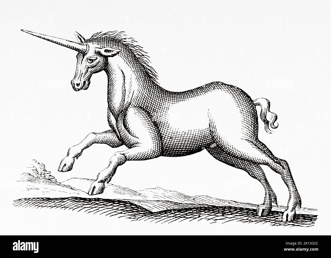 UNICORN. licorne monoceros seu. Ancienne illustration gravée du 19th siècle de la nature 1890 Banque D'Images