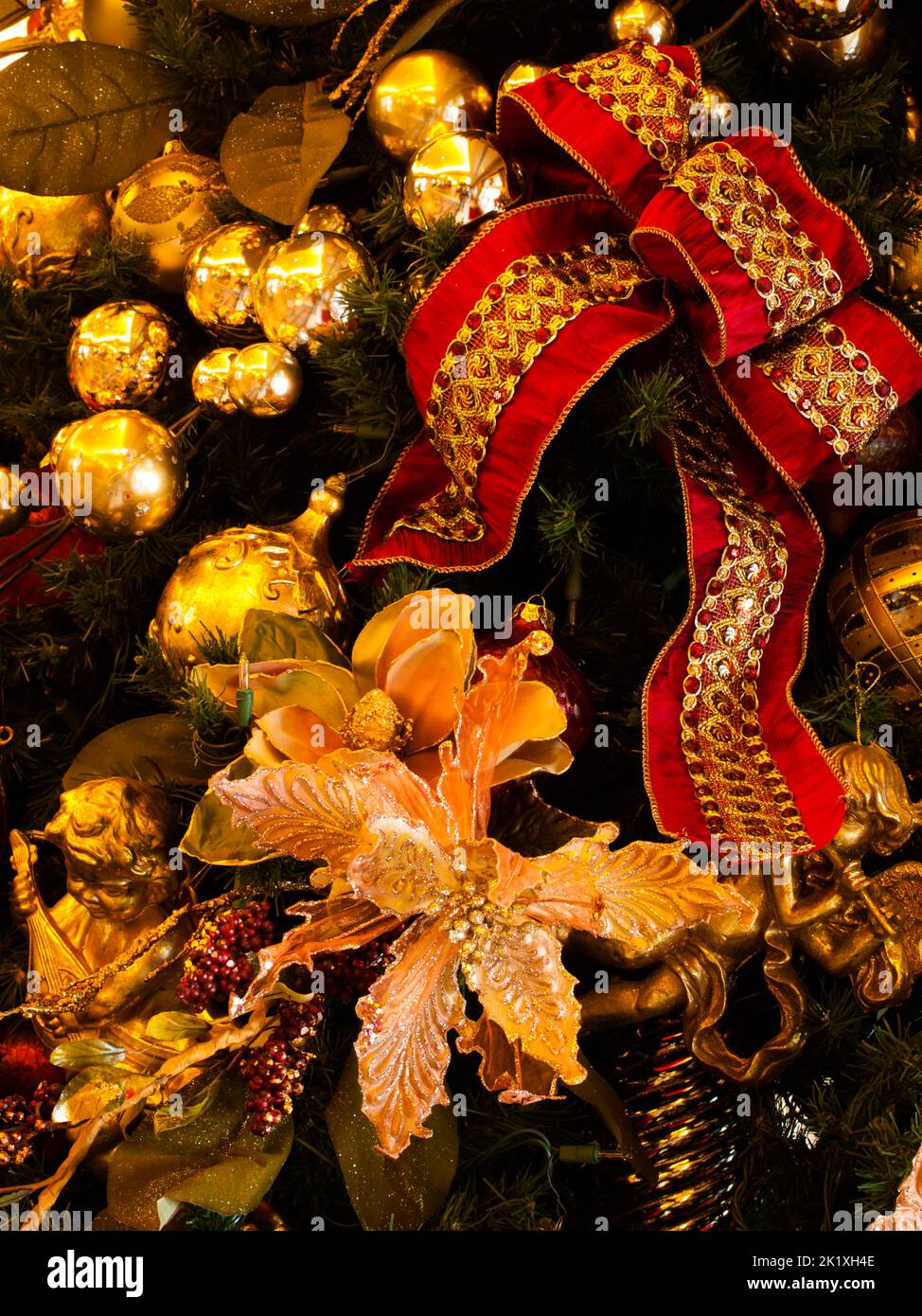 Sapin de Noël Banque D'Images