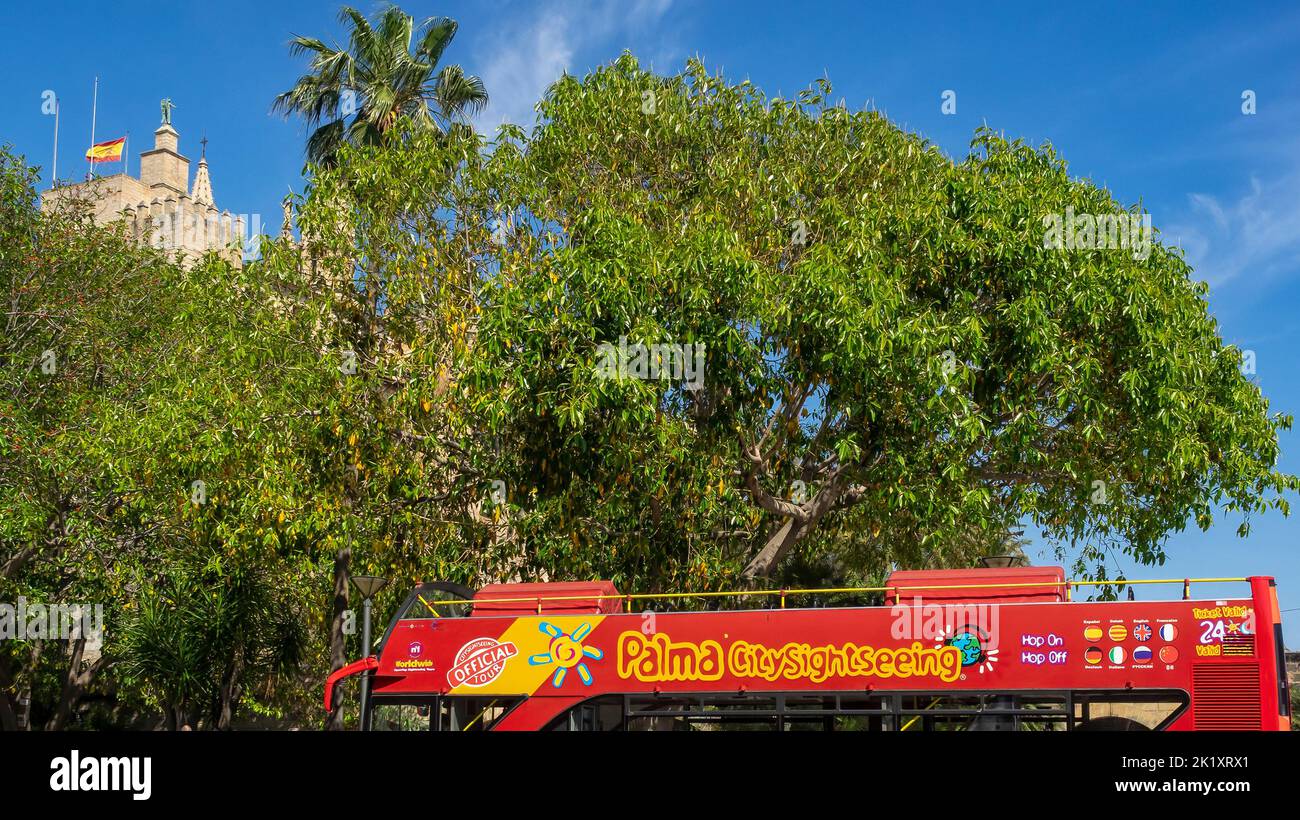 PALMA DE MAJORQUE, ESPAGNE - 23 MAI 2018 : bus touristique à toit ouvert avec cathédrale en arrière-plan Banque D'Images