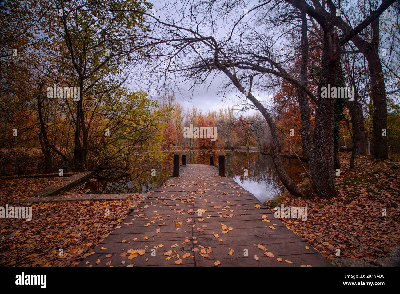 Vue horizontale d'un quai en bois recouvert de feuilles orangées, entouré d'arbres effrayants qui se reflètent sur un lac en automne Banque D'Images