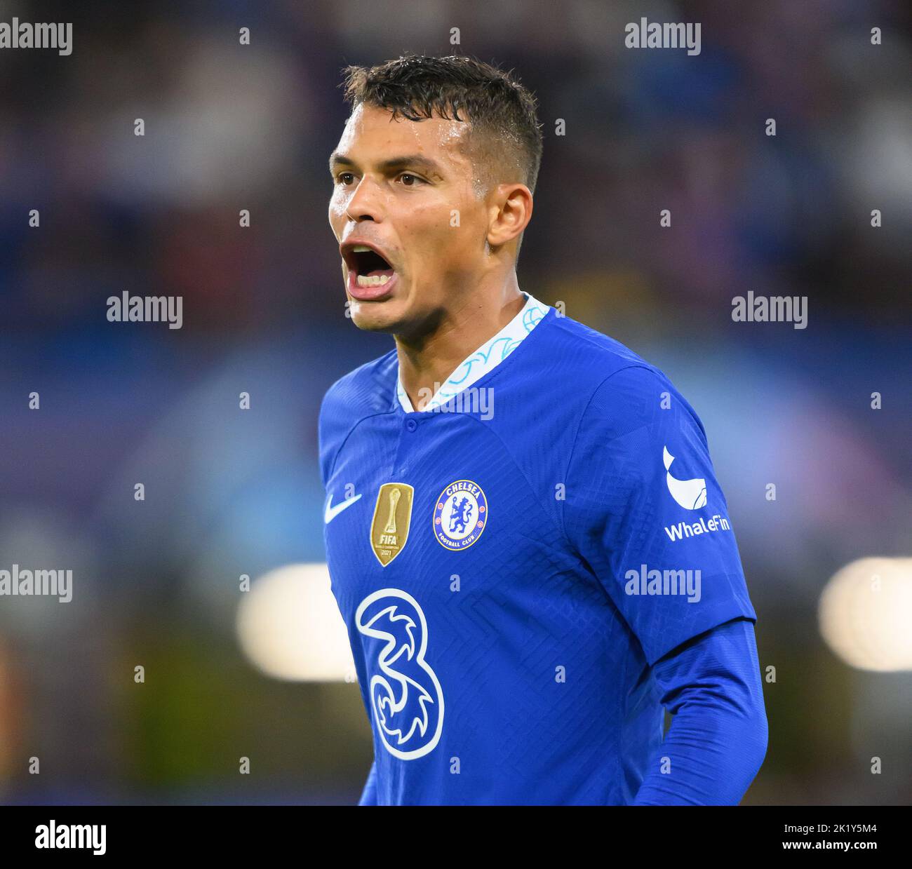 14 septembre 2022 - Chelsea contre RB Salzbourg - UEFA Champions League - Groupe E - Stamford Bridge Thiago Silva de Chelsea pendant le match de la Champions League à Stamford Bridge. Image : Mark pain / Alamy Live News Banque D'Images 14 septembre 2022 - Chelsea contre RB Salzbourg - UEFA Champions League - Groupe E - Stamford Bridge Thiago Silva de Chelsea pendant le match de la Champions League à Stamford Bridge. Image : Mark pain / Alamy Live News Banque D'Images