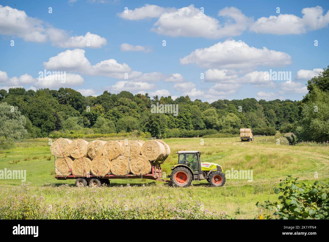 Un tracteur agricole passant dans un champ transportant de grosses balles de foin sur une remorque derrière lui. Ciel bleu et beaucoup de petits nuages blancs. Banque D'Images