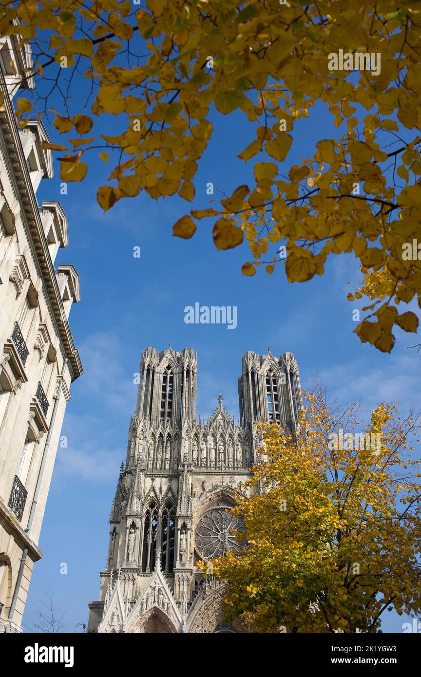 L'édition de la cathédrale de Reims a commence en 1211. Depuis le baptême de Clovis, la cathédrale notre-Dame ont été destinés au sacré-cœur des Rois de FR Banque D'Images