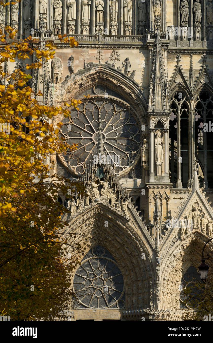 L'édition de la cathédrale de Reims a commence en 1211. Depuis le baptême de Clovis, la cathédrale notre-Dame ont été destinés au sacré-cœur des Rois de FR Banque D'Images