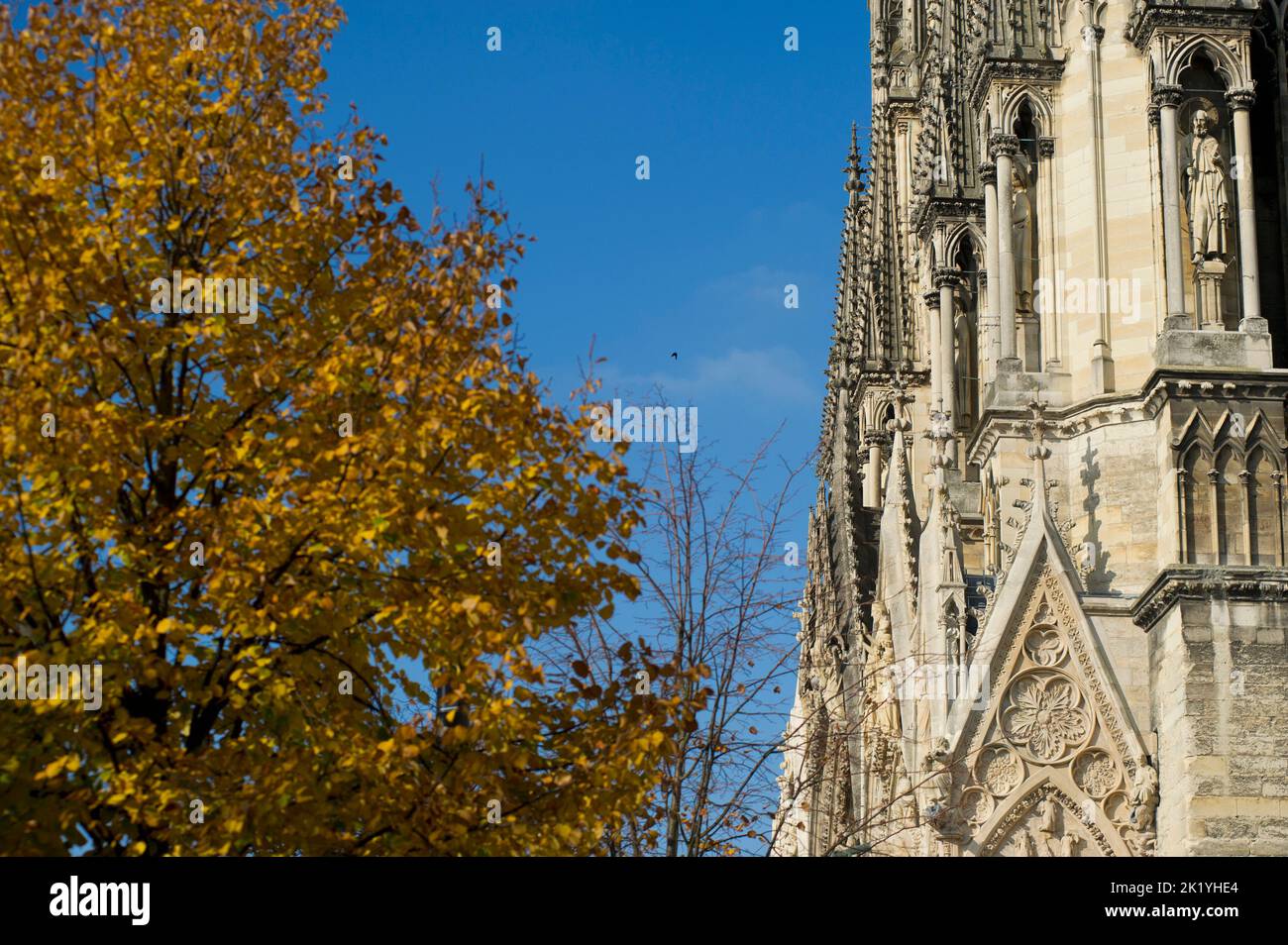 L'édition de la cathédrale de Reims a commence en 1211. Depuis le baptême de Clovis, la cathédrale notre-Dame ont été destinés au sacré-cœur des Rois de FR Banque D'Images