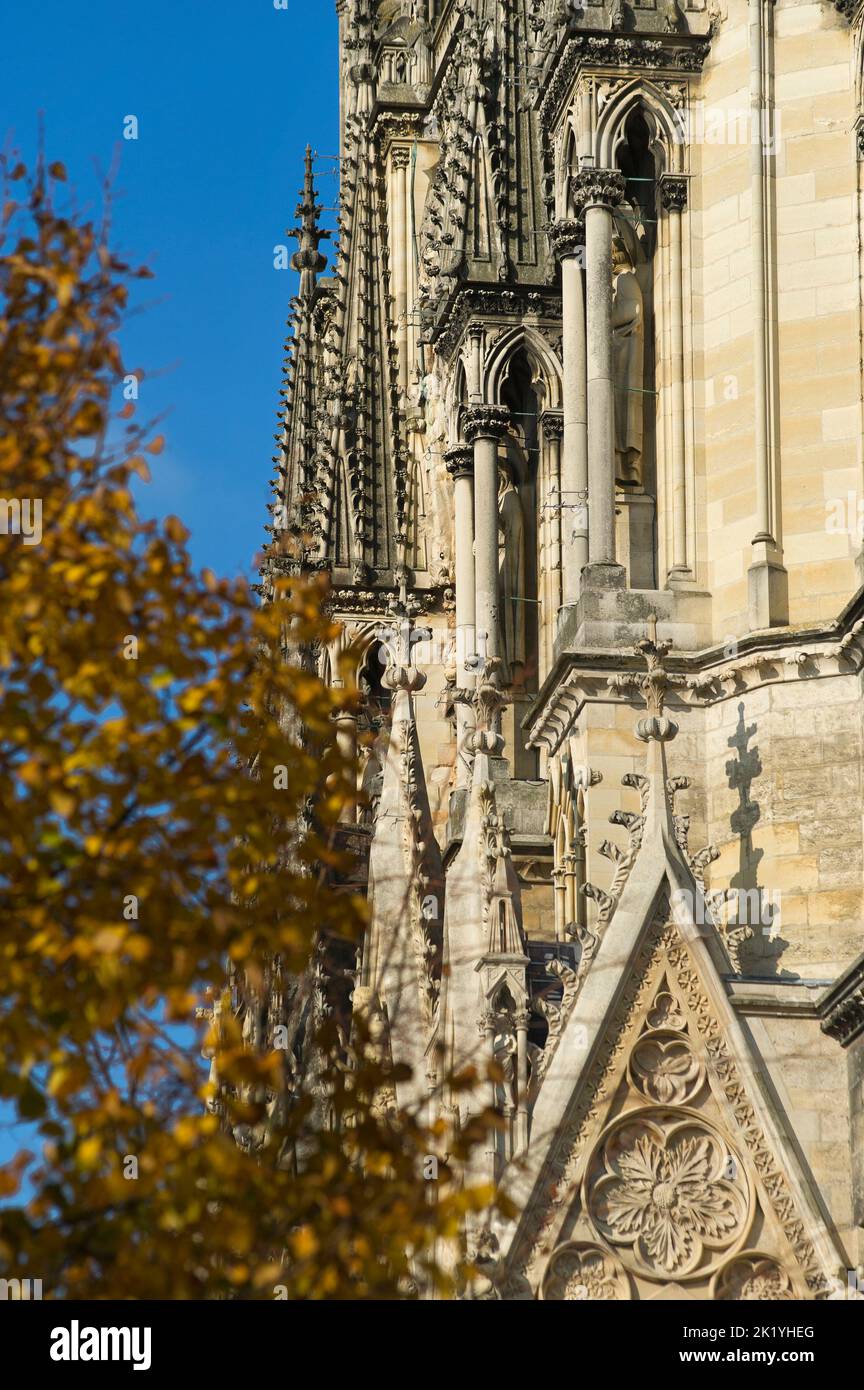 L'édition de la cathédrale de Reims a commence en 1211. Depuis le baptême de Clovis, la cathédrale notre-Dame ont été destinés au sacré-cœur des Rois de FR Banque D'Images